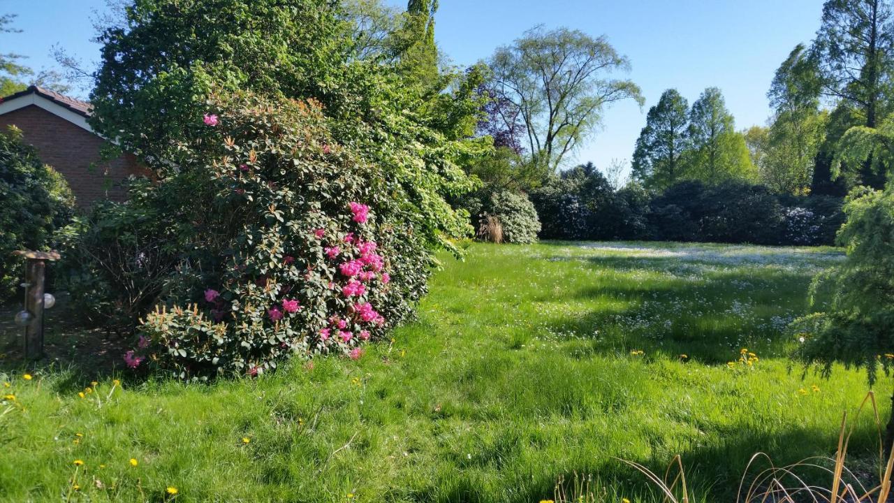 Ferienwohnung Morgensonne เวสเตอร์ชเตเดอ ภายนอก รูปภาพ