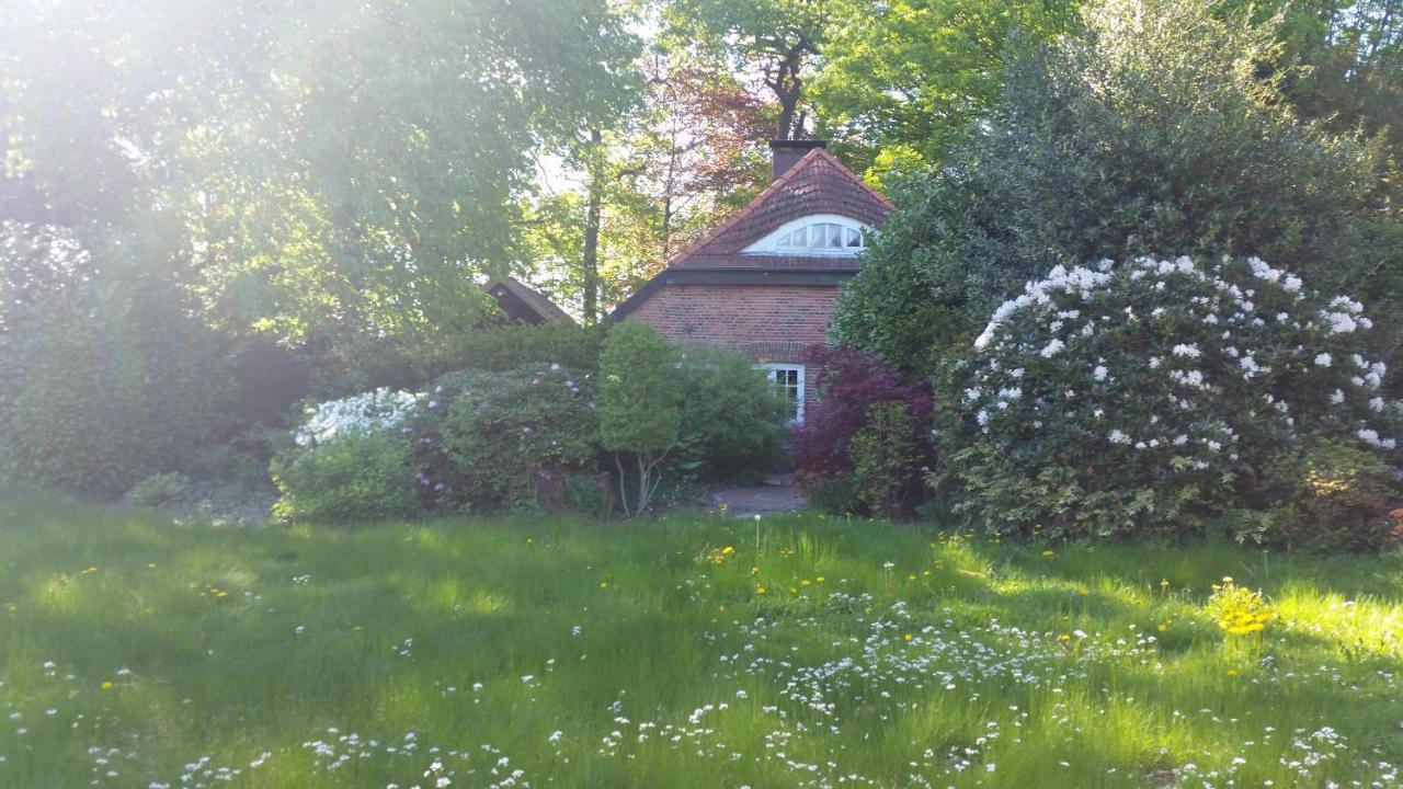 Ferienwohnung Morgensonne เวสเตอร์ชเตเดอ ภายนอก รูปภาพ