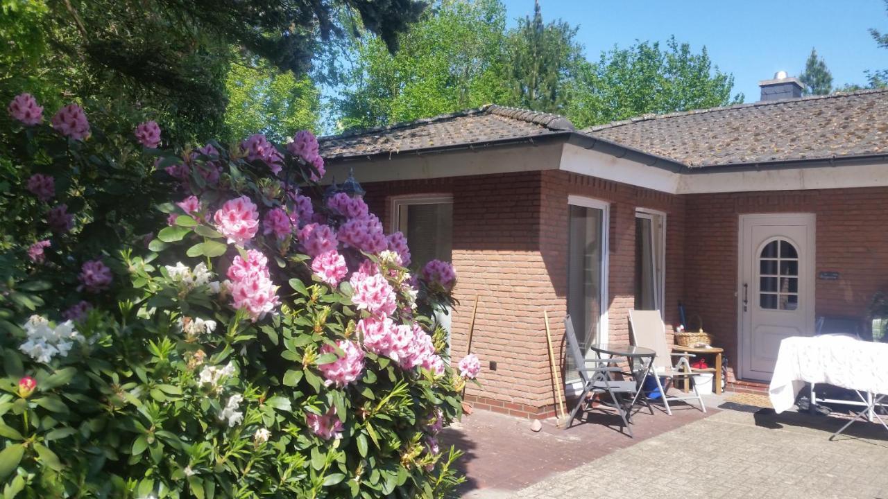Ferienwohnung Morgensonne เวสเตอร์ชเตเดอ ภายนอก รูปภาพ