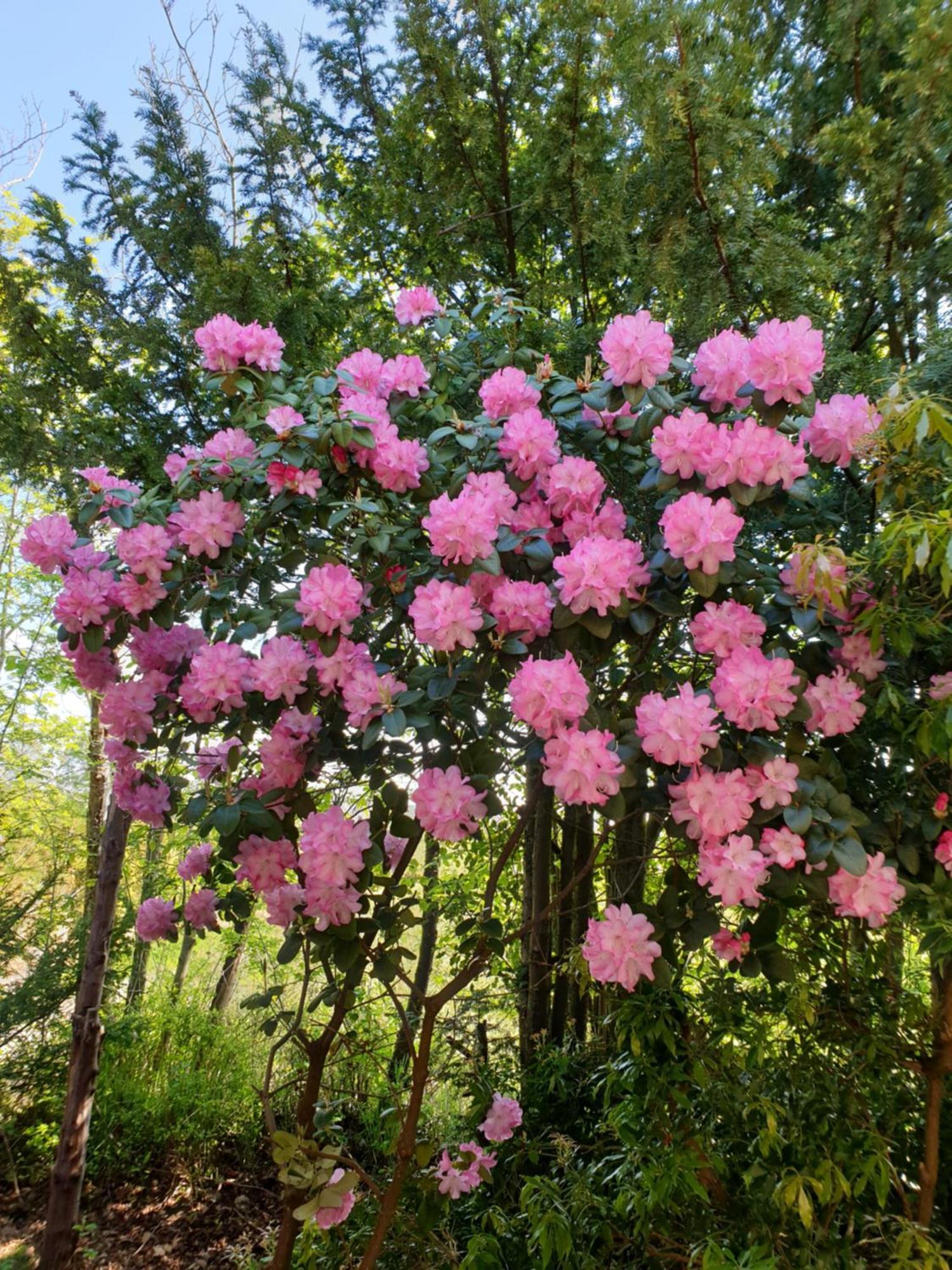 Ferienwohnung Morgensonne เวสเตอร์ชเตเดอ ภายนอก รูปภาพ